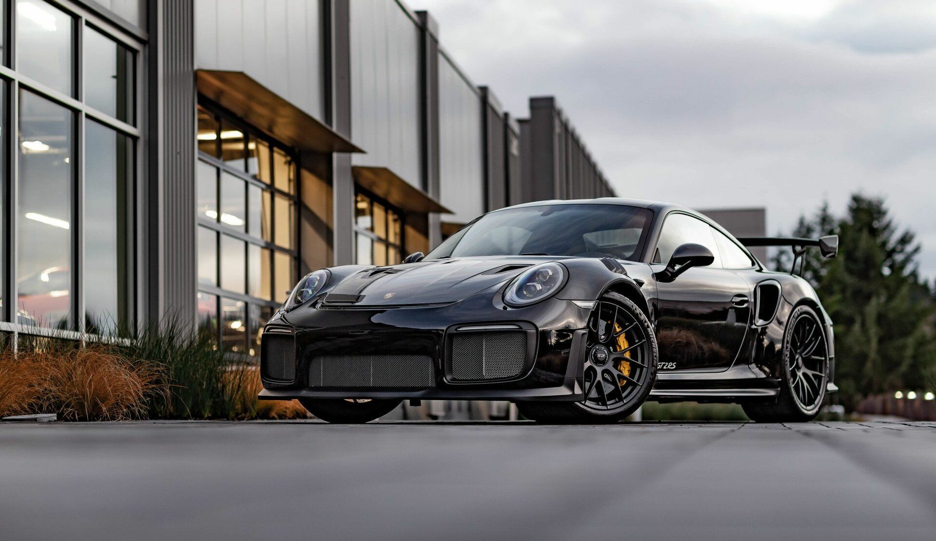 STEK FORCE Black Gloss Paint Protection Film (PPF)